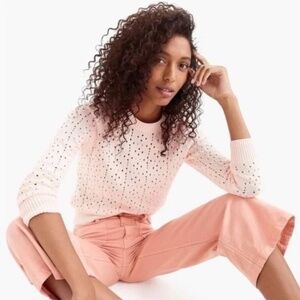 J. Crew x Point Sur Pointelle Sweater -- Size M -- EUC